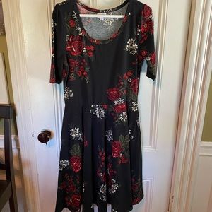 Lula Roe Nichole Dress, Large